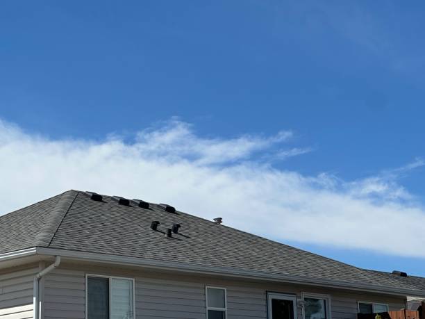 Best Roofing for New Construction  in North Hudson, WI